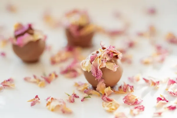 Cresus Cazino Cazinou Aplicație Android/iOS